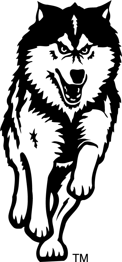 Northern Illinois Huskies 1988-2001 Secondary Logo diy DTF decal sticker